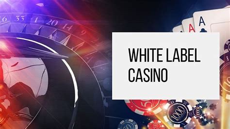  white label casino cost
